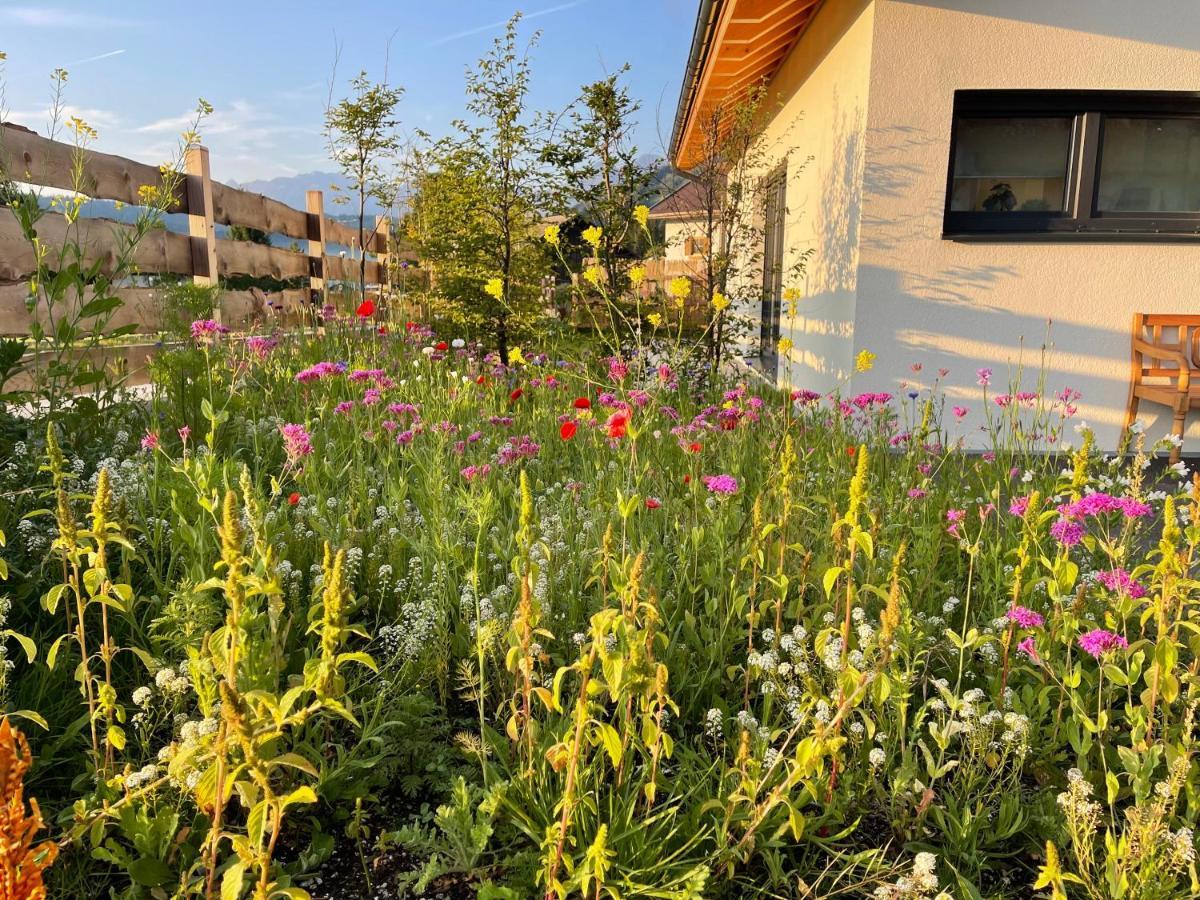 Mein Chalet لوتاش المظهر الخارجي الصورة